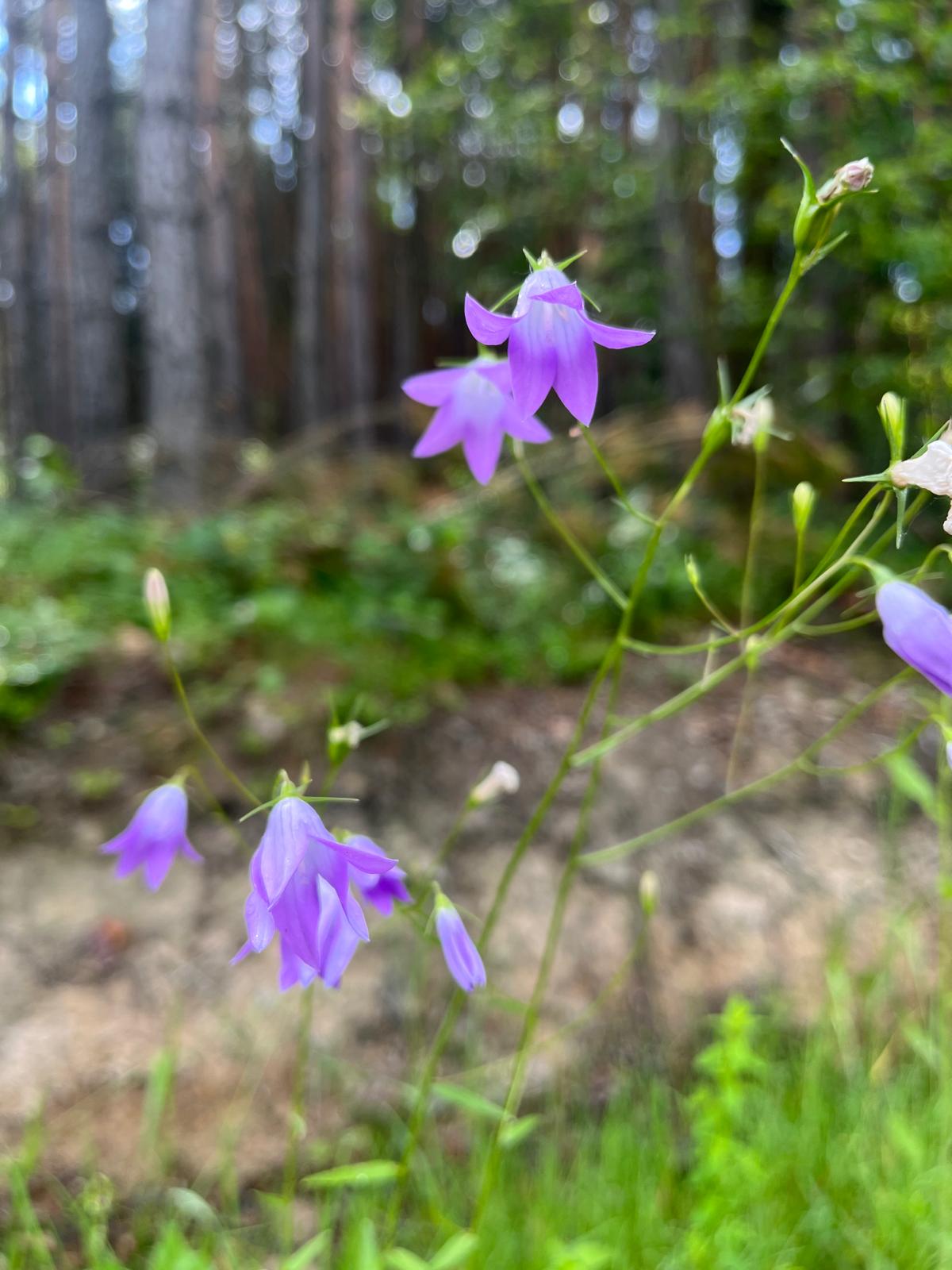 IMG-20240531-WA0028